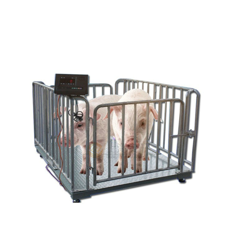 稱豬牛畜牧秤帶圍欄